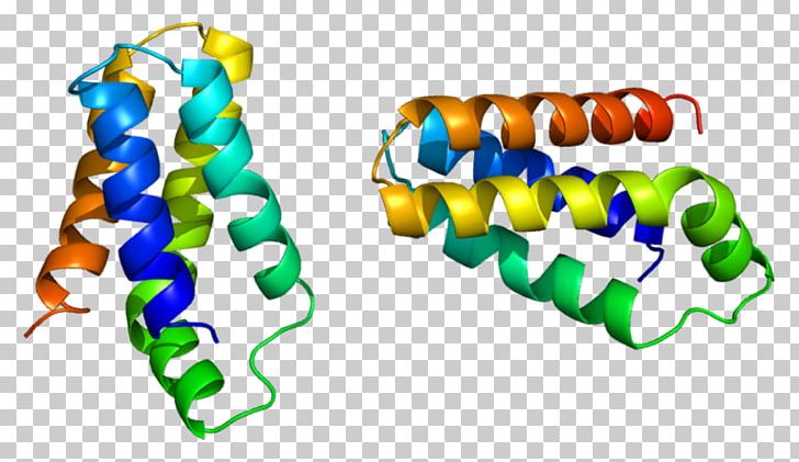 MTORC1 Protein Sirolimus Translation PNG, Clipart, Amino Acid, Area, Cancer, Eif4ebp1, Fkbp Free PNG Download