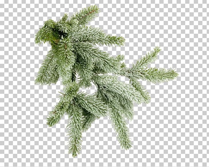 Winter Christmas Desktop PNG, Clipart, Autumn, Branch, Christmas, Christmas Ornament, Christmas Tree Free PNG Download