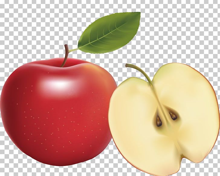 Apple Euclidean Vecteur PNG, Clipart, Apple Fruit, Apple Logo, Apples, Apple Tree, Apple Vector Free PNG Download