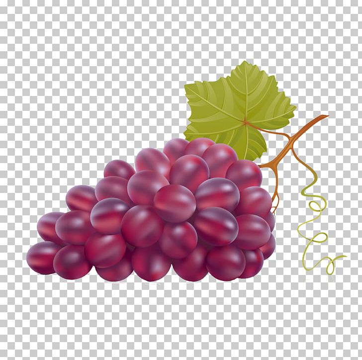 Common Grape Vine Wine PNG, Clipart, Blackberry, Black Grapes, Food, Fruit, Fruit Nut Free PNG Download
