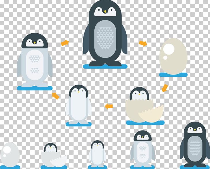 Penguin Cartoon Illustration PNG, Clipart, Animal, Bird, Cartoon, Christmas Penguin, Egg Incubation Free PNG Download