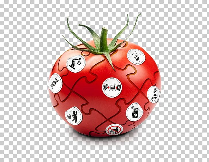 Tomato Christmas Ornament Strawberry PNG, Clipart, Christmas, Christmas Ornament, Food, Fruit, Ladybird Free PNG Download