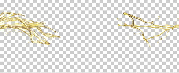 Twig /m/02csf Drawing Plant Stem Line PNG, Clipart, Branch, Commodity, Drawing, Grasses, Grass Family Free PNG Download