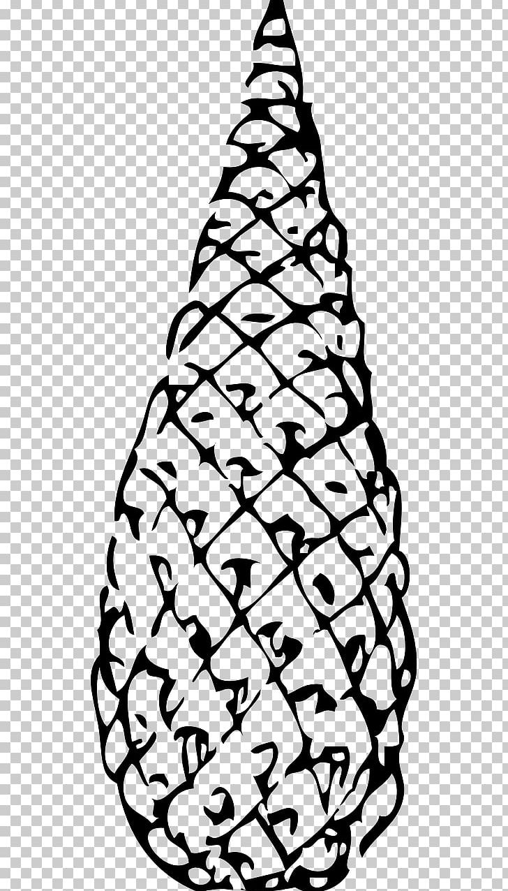 Spruce Fir Conifer Cone The Life Cycle Of A Pine Tree Conifers PNG, Clipart, Christmas Decoration, Christmas Ornament, Christmas Tree, Cone, Conifer Free PNG Download