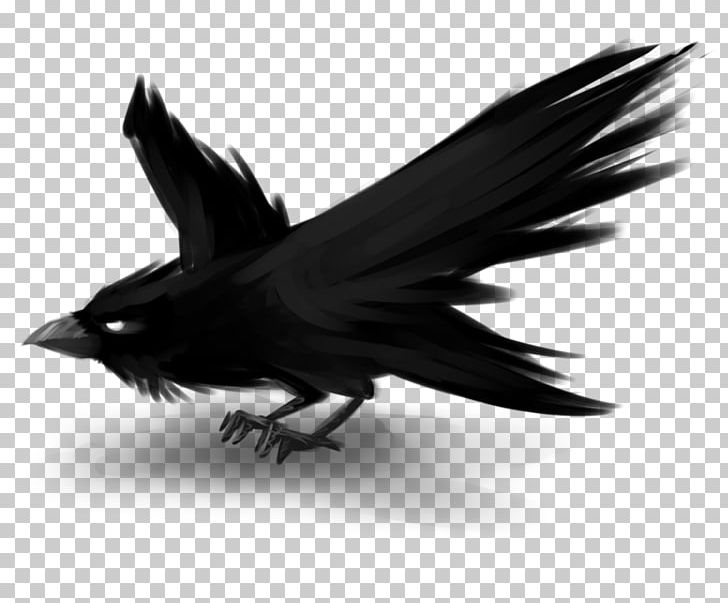 Avatar Digital Art Drawing PNG, Clipart, American Crow, Animals, Art, Avatar, Beak Free PNG Download
