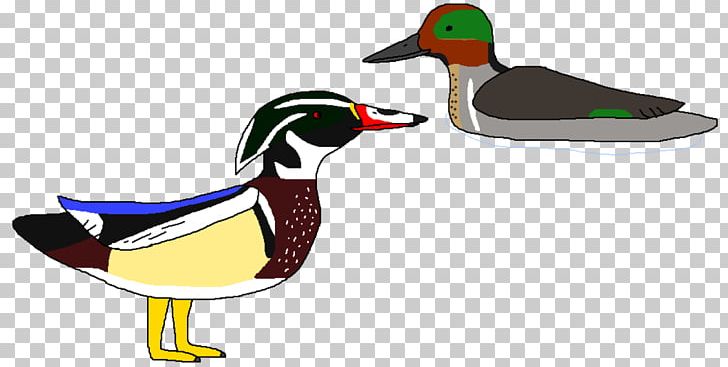 Mallard Duck Fauna Beak PNG, Clipart, Animals, Beak, Bird, Duck, Ducks Geese And Swans Free PNG Download