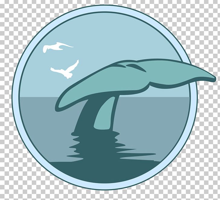 Whale's Tale Dolphin Marine Mammal Cetacea PNG, Clipart, Ale, Animals, Aqua, Azure, Blue Whale Free PNG Download