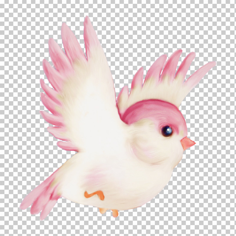 Feather PNG, Clipart, Animal Figure, Beak, Bird, Chicken, Comb Free PNG Download