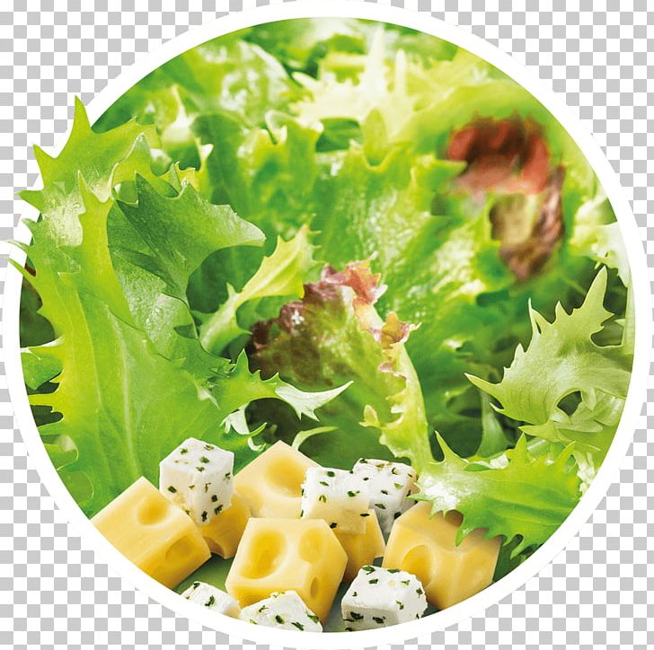 Caesar Salad Lettuce Crudités Sauce PNG, Clipart, Caesar Salad, Cocktail Sauce, Crudites, Cuisine, Dish Free PNG Download