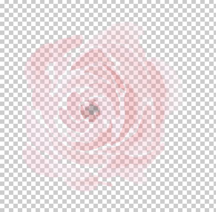 Centifolia Roses Garden Roses Pink Peony Petal PNG, Clipart, Centifolia Roses, Decorative Flower, Flower Bouquet, Flowering Plant, Flower Pattern Free PNG Download
