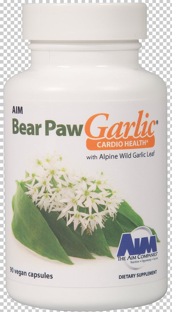 Garlic Bear Paw Ramsons Health PNG, Clipart, Aquarium, Bear, Bear Paw, Capsule, Dietary Supplement Free PNG Download