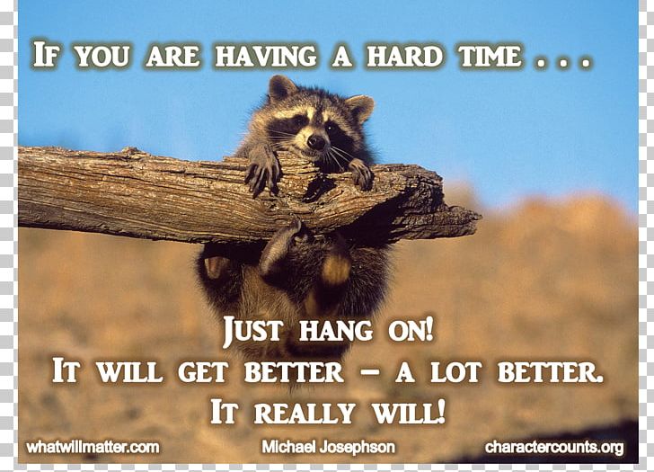 Quotation Hamster Saying Humour PNG, Clipart, Abstract, Advertising, Animal, Annoyance, Desktop Wallpaper Free PNG Download