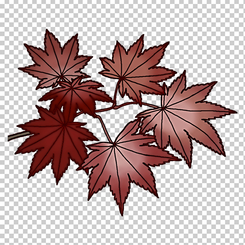 Maple Leaf PNG, Clipart, Art Museum, Cartoon, Drawing, Leaf, Logo Free PNG Download