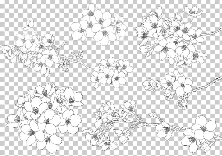 Cherry Blossom Illustration PNG, Clipart, Black And White, Blossom, Blossoms, Body Jewelry, Branches Free PNG Download