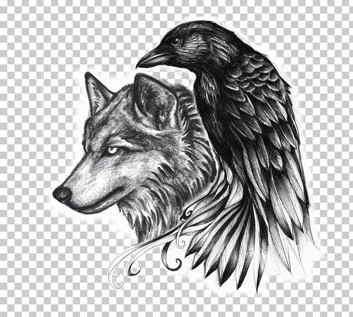 Common Raven Abziehtattoo Crow Gray Wolf PNG, Clipart, Abziehtattoo, Beak, Bird, Black And White, Body Art Free PNG Download