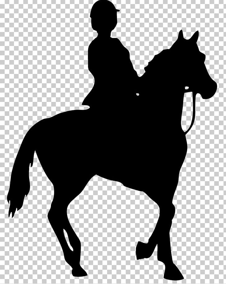 Horse&Rider Equestrian Silhouette PNG, Clipart, Animals, Black And White, Bridle, Collection, Colt Free PNG Download