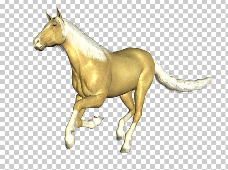 Mustang Mane Stallion Colt Arabian Horse PNG, Clipart, American Paint Horse, Animal Figure, Arabian Horse, Cabal, Colt Free PNG Download