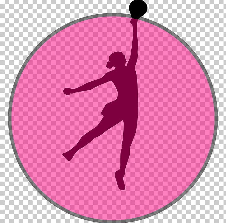 Netball Silhouette New South Wales Swifts PNG, Clipart, Computer Icons, Magenta, Netball, Netball Court, New South Wales Swifts Free PNG Download