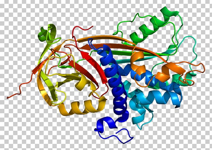 P300-CBP Coactivator Family PEDF CREB-binding Protein EP300 PNG, Clipart, Area, Artwork, Biology, Creb, Crebbinding Protein Free PNG Download