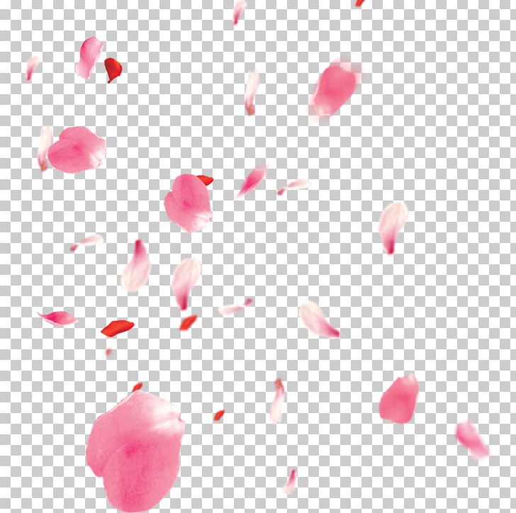 Petal Cherry Blossom PNG, Clipart, Blossoms, Cherry, Cherry Blossom Petals, Cherry Blossoms, Computer Icons Free PNG Download