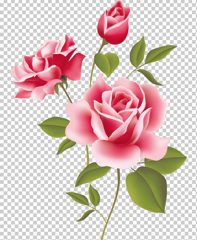 Three Flowers Three Roses Valentines Day PNG, Clipart, Artificial Flower, Bouquet, Branch, Bud, Camellia Free PNG Download