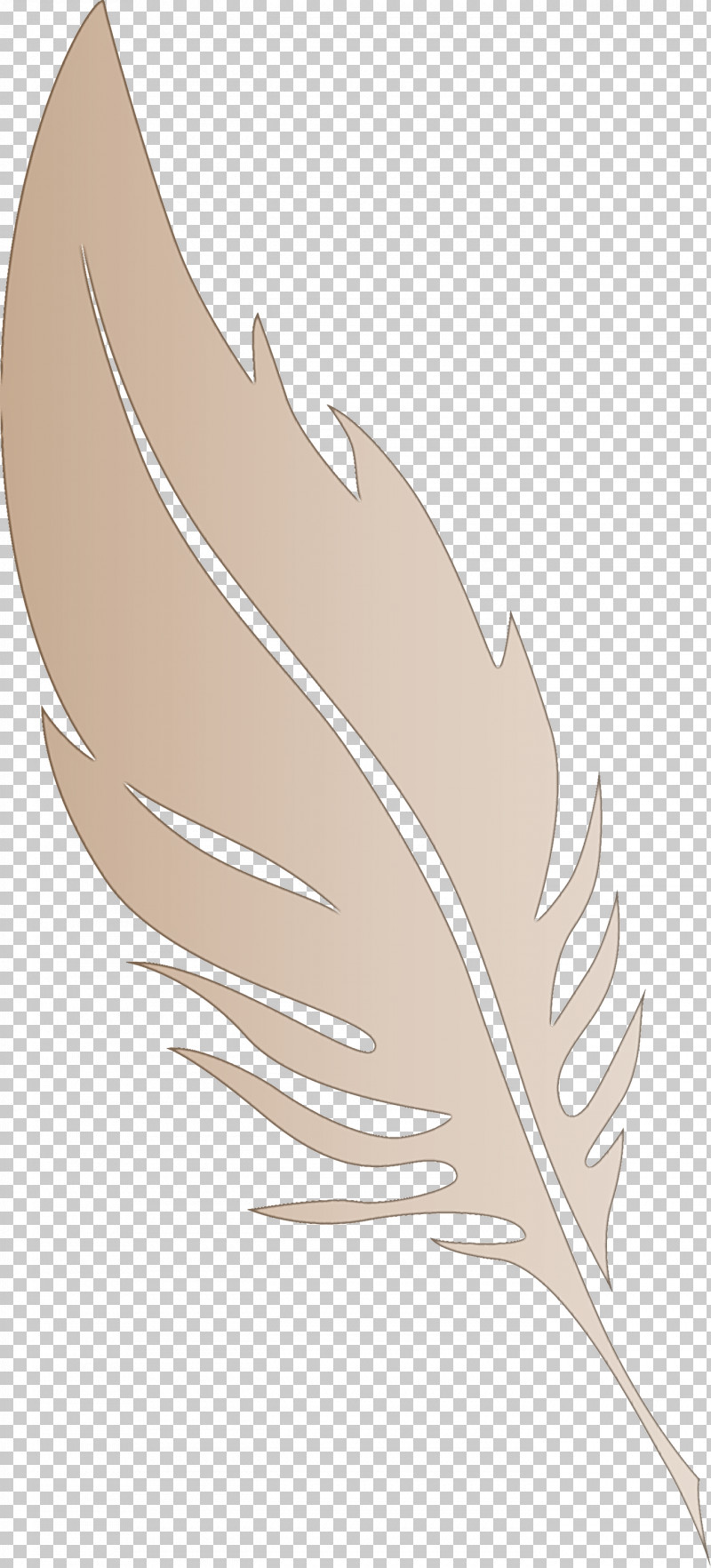 Feather PNG, Clipart, Beak, Biology, Feather, Leaf, Line Free PNG Download