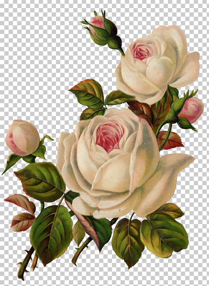 Flower Garden Roses Vintage Clothing PNG, Clipart, Artificial Flower, Background White, Black White, Creativity, Cut Flowers Free PNG Download