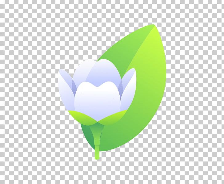 Flower Petal Leaf Desktop PNG, Clipart, Computer Wallpaper, Desktop Wallpaper, Flower, Flowering Plant, Grass Free PNG Download