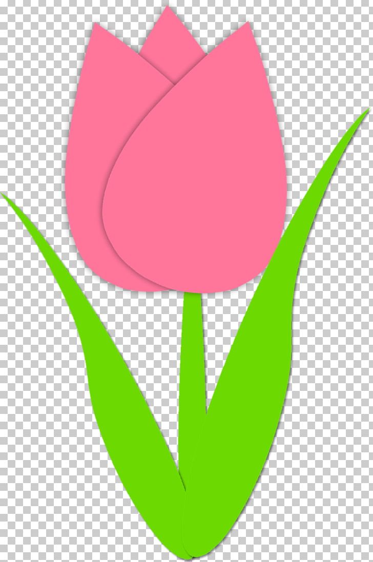 Tulip PNG, Clipart, Art, Circle, Computer Wallpaper, Document, Download Free PNG Download