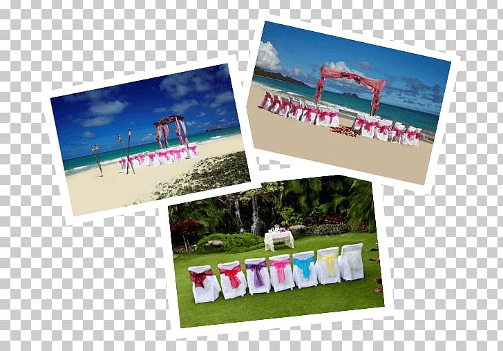 Hawaiian Beaches Wedding Paper PNG, Clipart, Advertising, Beach, Brand, Hawaii, Hawaiian Free PNG Download