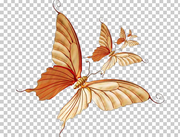 Monarch Butterfly PNG, Clipart, Arthropod, Autumn, Brush Footed Butterfly, Flower, Geometric Pattern Free PNG Download