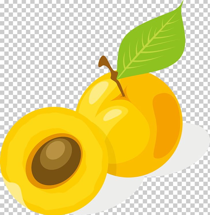 Orange Juice Apple Apricot PNG, Clipart, Apple, Apricot Vector, Auglis, Balloon Cartoon, Boy Cartoon Free PNG Download