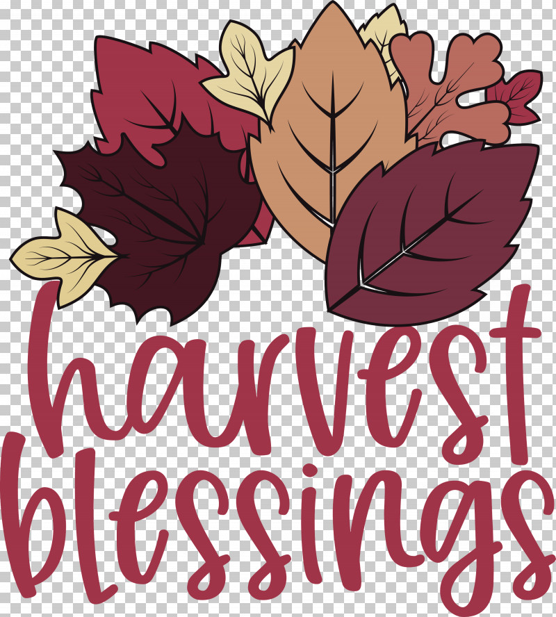 Harvest Thanksgiving Autumn PNG, Clipart, Autumn, Biology, Cartoon, Flower, Fruit Free PNG Download