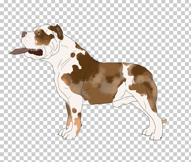 American Staffordshire Terrier Dog Breed Staffordshire Bull Terrier Non-sporting Group Snout PNG, Clipart, American Staffordshire Terrier, Breed, Carnivoran, Dark Rabbit Has Seven Lives, Dog Free PNG Download