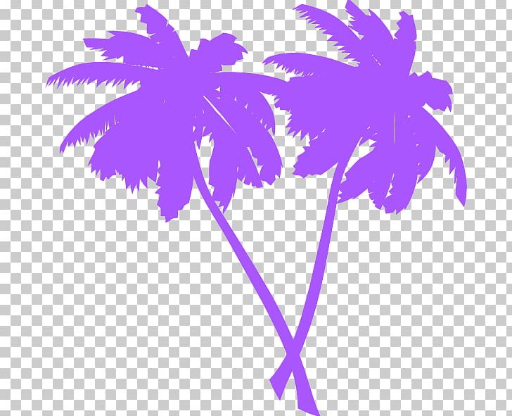Arecaceae Tree PNG, Clipart, Arecaceae, Arecales, Branch, Coconut, Document Free PNG Download
