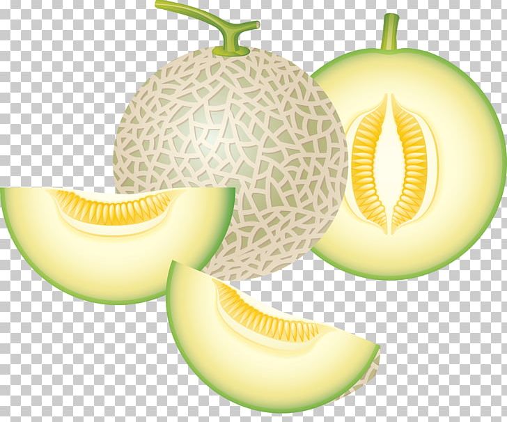 Cantaloupe Honeydew Watermelon PNG, Clipart, Cantaloupe, Computer Icons, Cucumber Gourd And Melon Family, Cucumis, Diet Food Free PNG Download