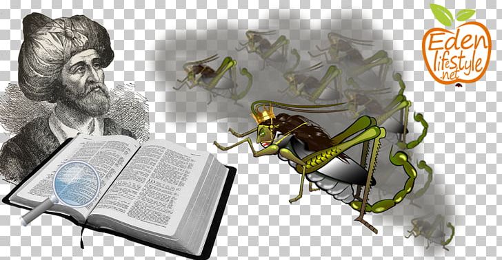 Insect Giclée Fauna Painting Pollinator PNG, Clipart, Allposterscom, Animals, Fauna, Giclee, Insect Free PNG Download
