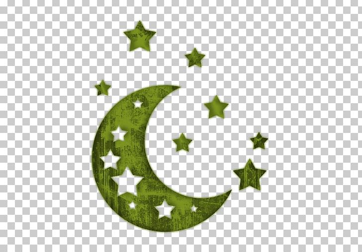 Moon Star PNG, Clipart, Branch, Christmas Decoration, Christmas Ornament, Christmas Tree, Color Free PNG Download