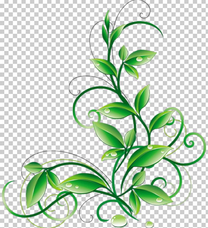 Leaf Branch Grass PNG, Clipart, Artwork, Branch, Clip Art, Encapsulated Postscript, Flora Free PNG Download
