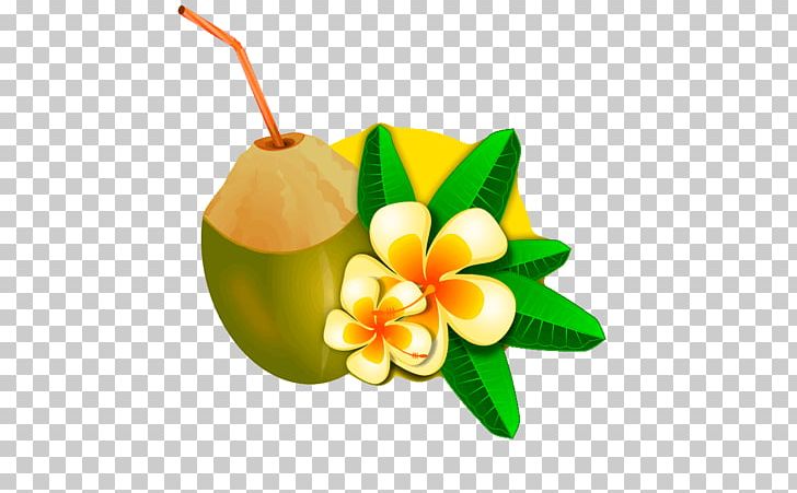 Coconut PNG, Clipart, Black And White, Cartoon, Coconut, Coloring Book, Cut Flowers Free PNG Download