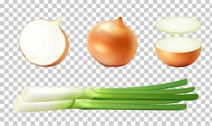 Onion Diet Food PNG, Clipart, Background Green, Diet, Diet Food, Food, Green Free PNG Download