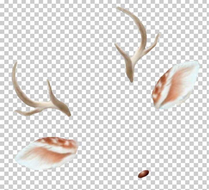 Photographic Filter PNG, Clipart, Android, Antler, Bts, Computer Icons, Desktop Wallpaper Free PNG Download