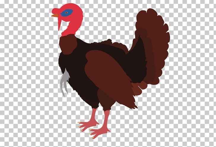 Black Turkey PNG, Clipart, Alamy, Beak, Bird, Black Turkey, Chicken Free PNG Download
