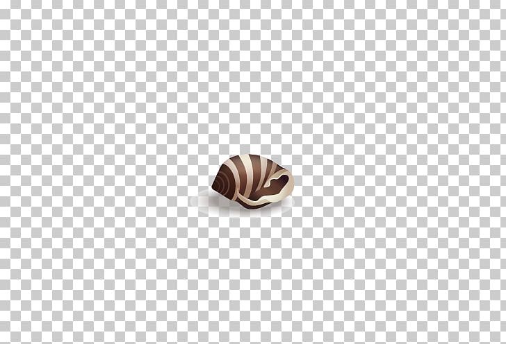 Brown Seashell PNG, Clipart, Beach, Brown, Cartoon Conch, Conch, Conchs Free PNG Download