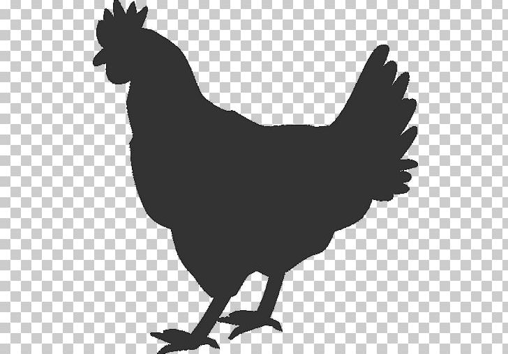 Chicken Rooster Hen Sticker Decal PNG, Clipart, Animals, Beak, Bird, Black And White, Chicken Free PNG Download