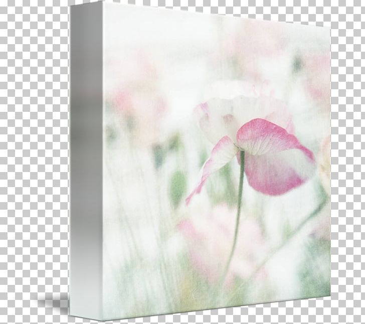 Petal Floral Design Pink M Flower PNG, Clipart, Art, Floral Design, Flower, Flowering Plant, Petal Free PNG Download