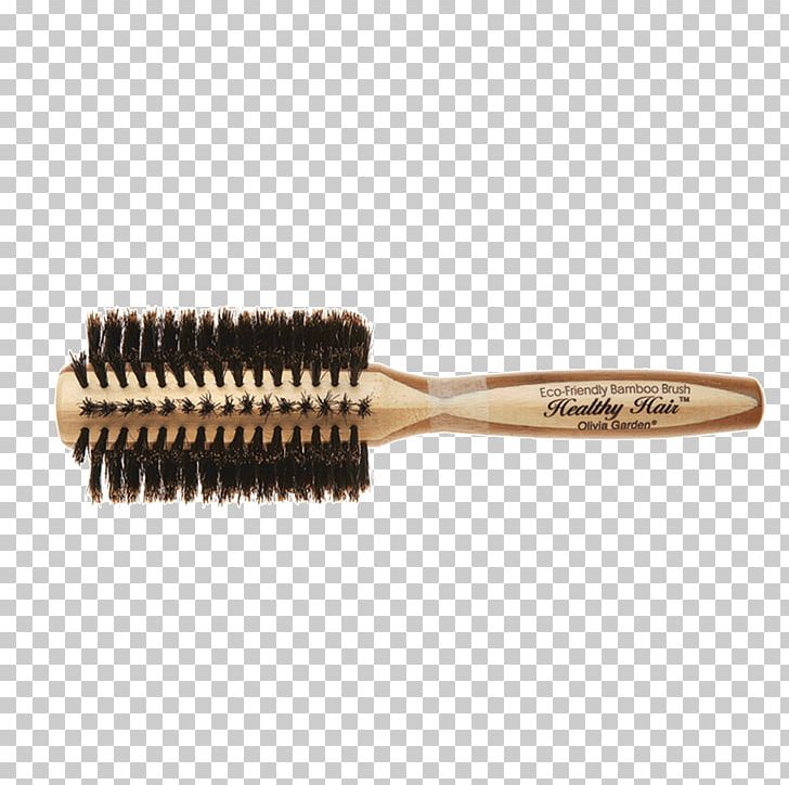 Comb Wild Boar Hairbrush Bristle PNG, Clipart, Barber, Beauty Parlour, Bristle, Brush, Brushes Trident Decorations Free PNG Download