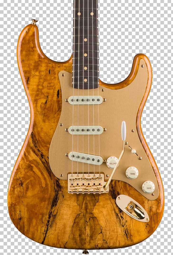 Electric Guitar Bass Guitar Fender Stratocaster Spalting PNG, Clipart, Acoustic Electric Guitar, Fender Stratocaster, Guitar, Guitar Accessory, Maple Free PNG Download