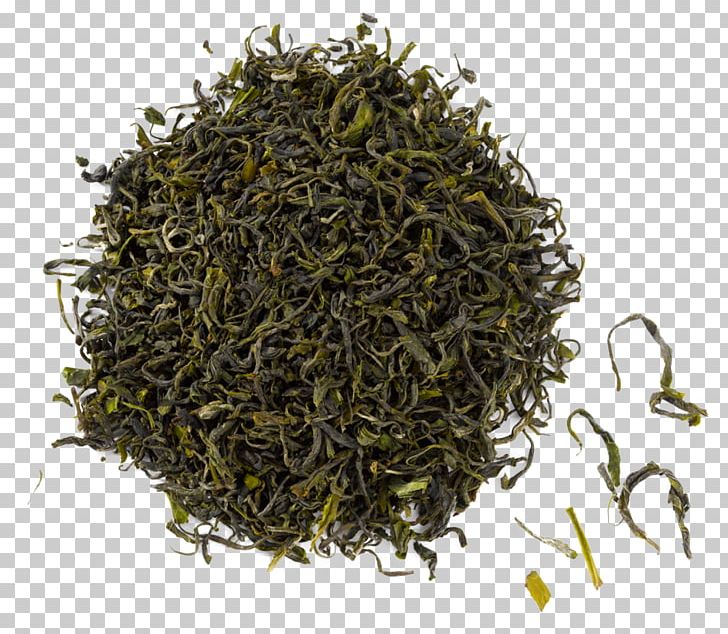 Gyokuro Nilgiri Tea Oolong Darjeeling Tea PNG, Clipart,  Free PNG Download