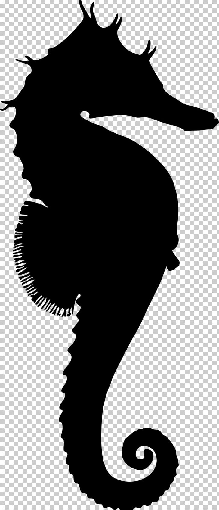 Horse Silhouette Drawing PNG, Clipart, Animals, Animal Silhouettes, Art, Bigbelly Seahorse, Black And White Free PNG Download